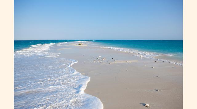 Parque Nacional de Quirimbas, Mozambique. Peces loro, delfines, tiburones martillo e infinitos corales se mezclan bajo el agua: por encima, playas vírgenes en islas desiertas. Más arriba, 150 especies de aves, muchas de ellas, únicas. (FOTO: CORBIS)