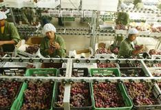 Perú se ubicaría como el octavo exportador mundial de fruta al cierre del 2024