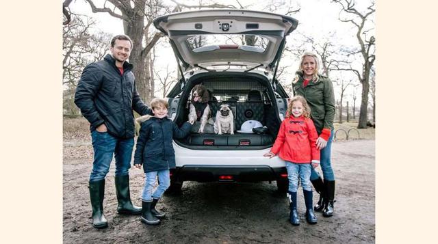 Una idea realmente original para los propietarios de mascotas.(foto:msn).