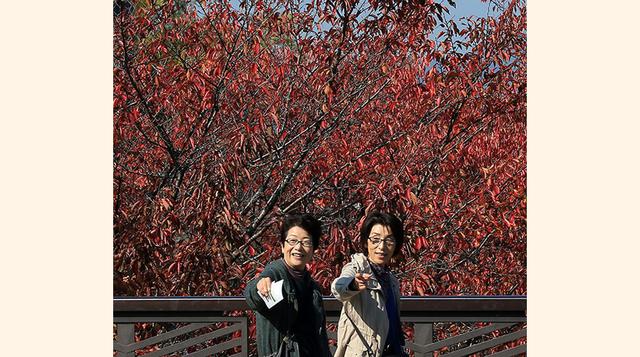 Japón, El país nipón destaca por la integración del mundo laboral al personal. Por ello, es importante que conozcan tus valores, tu familia y tus intereses para poder crear una buena unión entre ambos conceptos. (Foto: Forbes)