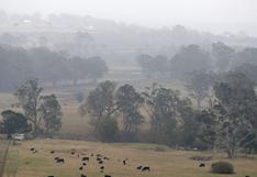 La lluvia da un respiro en los incendios forestales en Australia