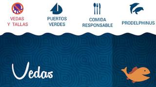 Lanzan BóVEDA, aplicación para consumo sostenible de pescado