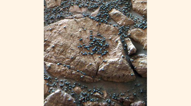 Esférulas (bautizadas por la NASA como "arándanos") fotografiadas y analizadas por el Opportunity. Las hipótesis sobre su formación han contribuido a la posibilidad de que en Marte haya agua.