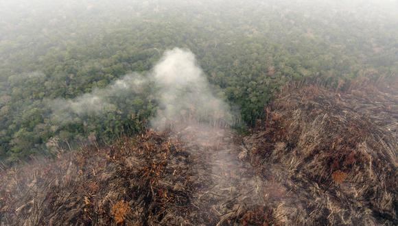 El promedio de deforestación en los últimos cuatro años de gobierno de Jair Bolsonaro es aproximadamente un 60% superior al de los cuatro años anteriores. (Foto: Douglas Magno | AFP)