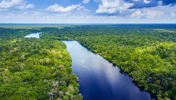 El río Amazonas alberga la mayor selva tropical y sistema fluvial del mundo. La cuenca del río Putumayo-Içá es el décimo afluente más largo de este río y proporciona una biodiversidad y unos servicios ecosistémicos de importancia local, nacional y global.