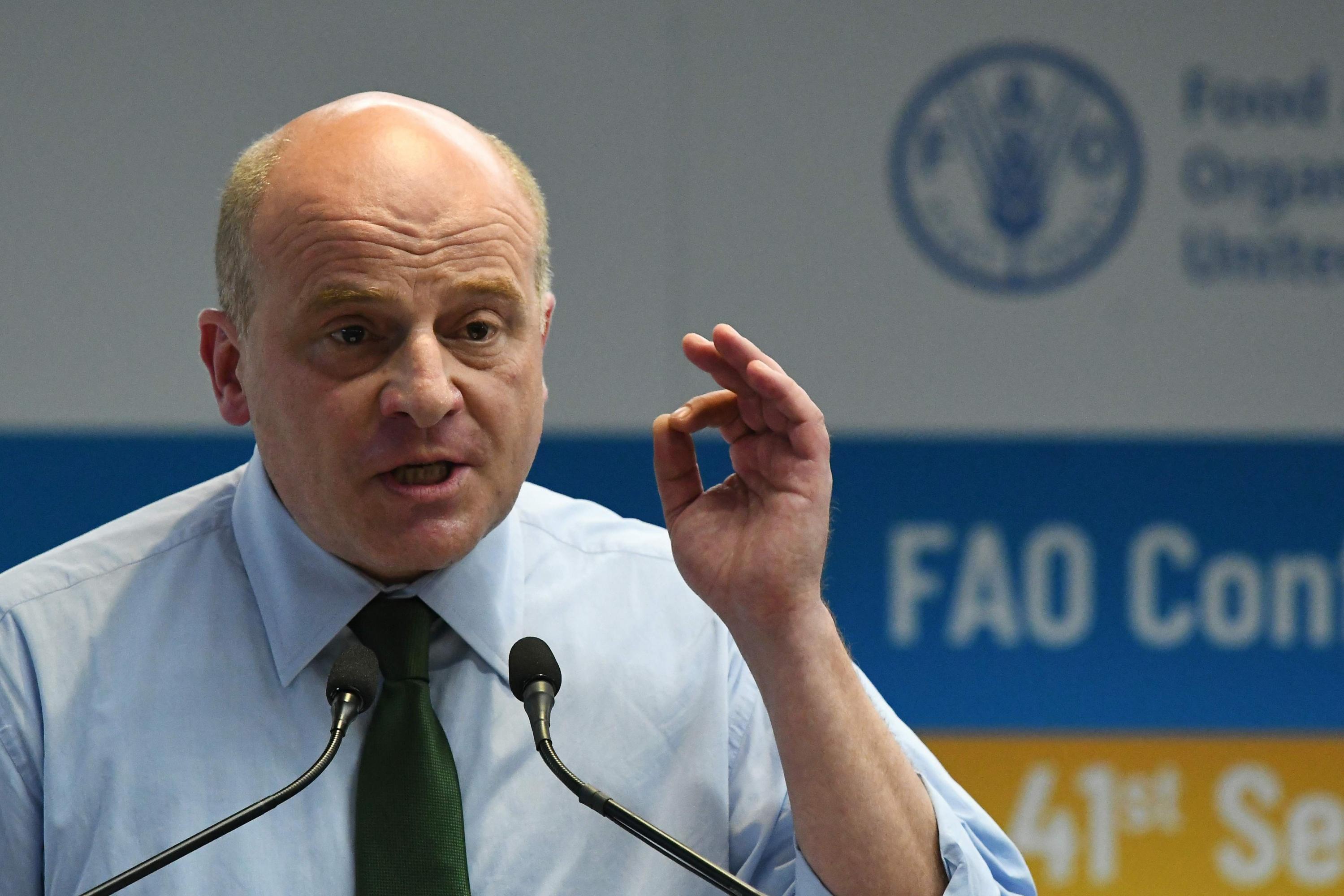 El ex ministro de Agricultura y actual asesor del Gobierno georgiano Davit Kirvalidze. (Foto: AFP)