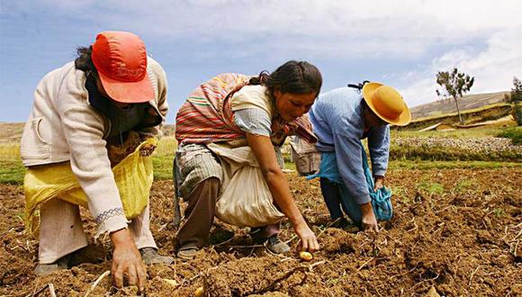 El Midagri busca impulsar la agricultura familiar. (Foto: Midagri)