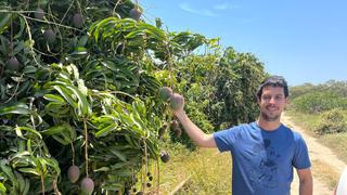 FamFruits, el secreto de la agroexportadora para hacerle frente a la caída de precios