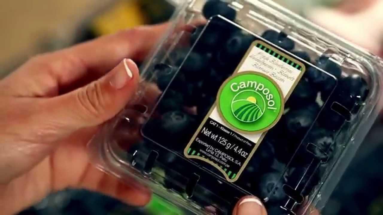 El 29 de diciembre, Camposol Holding había ajustado el monto de registro de su IPO desde US$ 345 millones hasta US$ 460 millones (Foto: Agraria.pe).