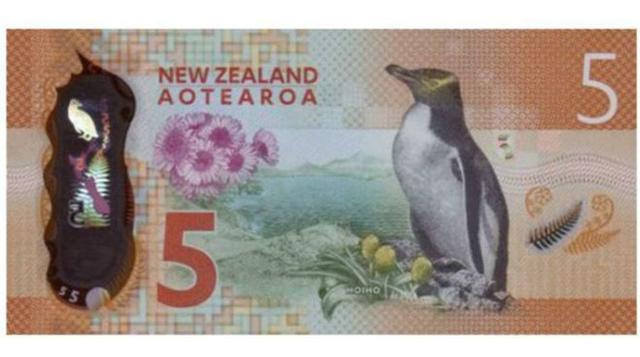 El billete fue elegido por su "imponente diseño naranjo con café" y su "espléndida ventana polimérica", comunicó la sociedad al dar a conocer su decisión. En el reverso del billete de 5 dólares nezolandeses, considerado como el “billet