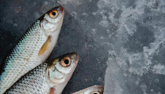 Este aumento del precio del pescado no es “inusual”, ya que está afectando a todo el sistema alimentario, pero la FAO reconoció que pone “presión sobre los consumidores en todo el mundo”. (Foto: Pexels)
