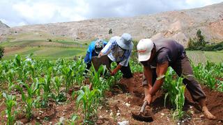 Próxima semana culminaría proceso de compra de urea, según Midagri