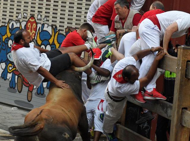 Dos de los heridos se encontraban en estado grave por corneadas de los toros. "Te ayudo a subir amigo…" parece decir este amable toro. (Foto: Reuters)
