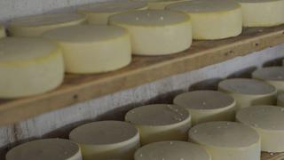 Establecen requisitos de calidad y clasificaciones del queso para su comercialización