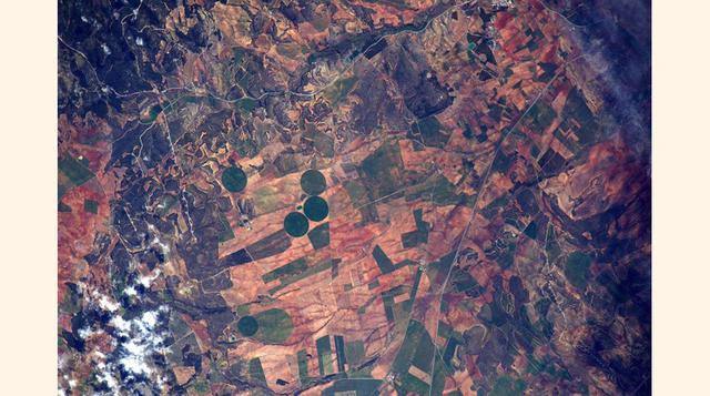 Campos de cultivos en el Sur de España. (Foto: msn)