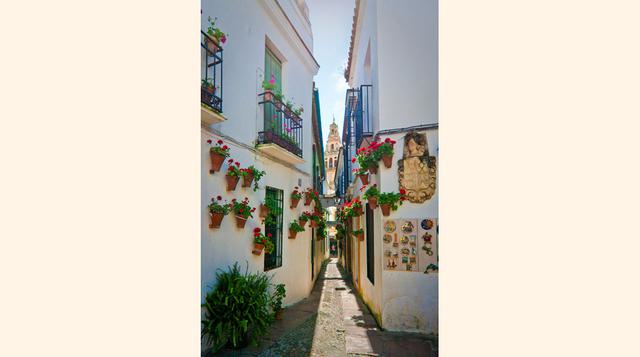 Calleja de las Flores (Córdoba). Mete barriga y, si eres alérgico al polen, mejor quédate en un extremo de la calle más pequeña y presumida de Córdoba: la calleja de las Flores es, según la cordobapedia, un azucaque (vamos, una calle sin salida). Aquí los
