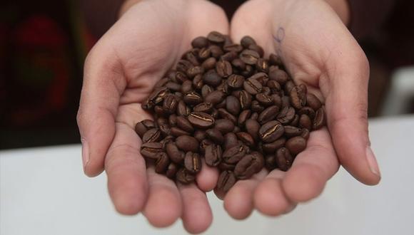 El clima favorable contribuyó a que la producción de café del Perú aumentara un 7,4 %, hasta 4,2 millones de sacos, mientras que la de Ecuador se elevó el 10,5 % en el año 2021-2022. (Foto: Andina)