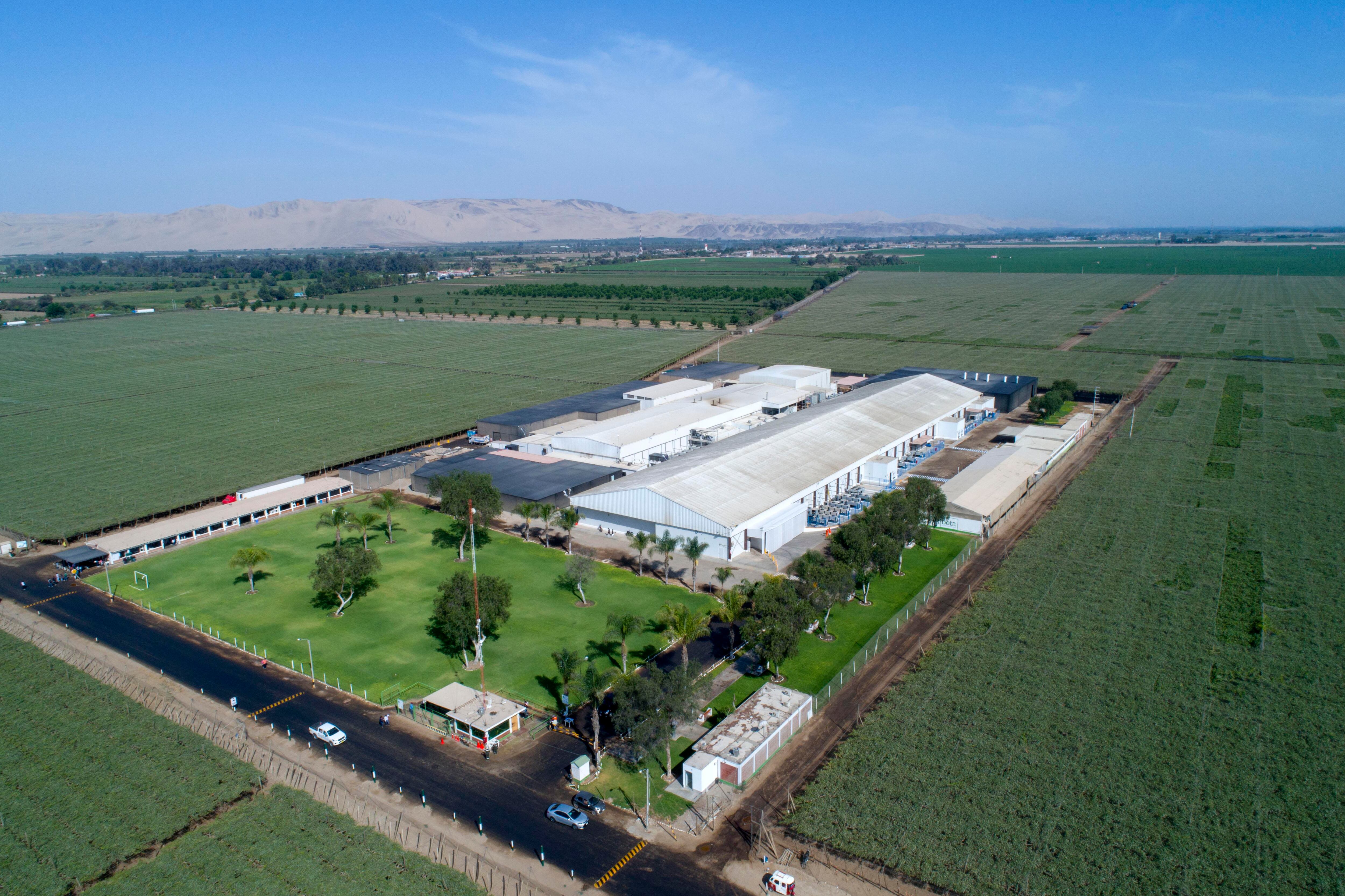 Nueva planta requirió inversión de US$ 5 millones. (Foto: difusión)