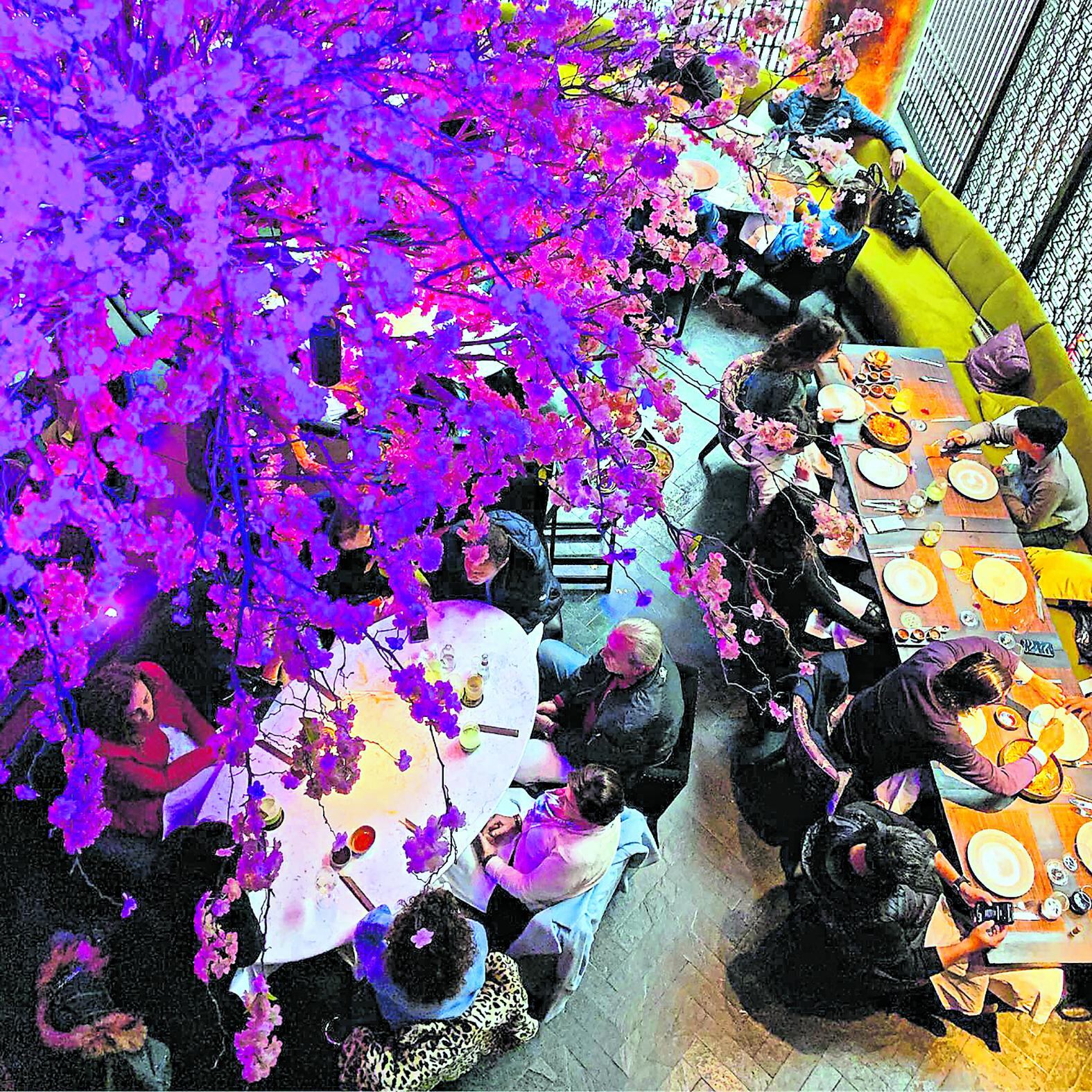 Shi-Nuá. Es el nuevo concepto de León de Peralta que busca refinar la fusión chino-peruana. La inversión del local bordeó los US$ 2 millones. (Foto: Shi-Núa)