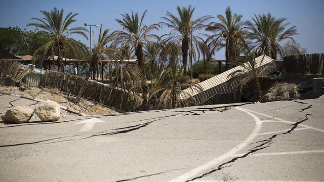 FOTO 6 | Colapso de palmeras, debido a la reducción del Mar Muerto y como sus aguas se desvanecen están devorando tierras donde una vez estuvo la costa.