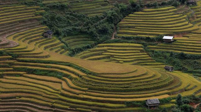 2.      Campos de arroz (Vietnam) (Foto: Getty)