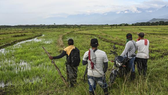 Más allá de los resultados de esta estrategia, otra de las críticas es a la eficiencia de la operación en términos de los recursos empleados y los grandes deforestadores detenidos. (Foto de Joaquín Sarmiento | AFP)