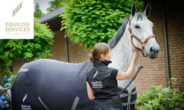 FOTO 2 | EquiLog Services (interesada en los Panamericanos Lima 2019). Se especializa en el transporte aéreo de caballos a todas partes del mundo. Su servicio cubre desde caballos domésticos y caballos de competición hasta razas especiales.