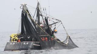 Sector pesca creció 40.52% en diciembre por mayor desembarque de anchoveta