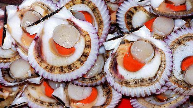 La concha de abanico es uno de los productos acuícolas más demandados en el exterior. (Foto: Lino Chipana / GEC)