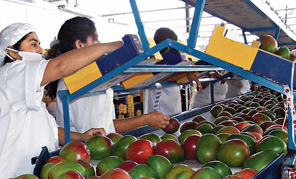 Planes. Tras compra se apunta a sumar nuevos clientes y mercados.(Foto: GEC)