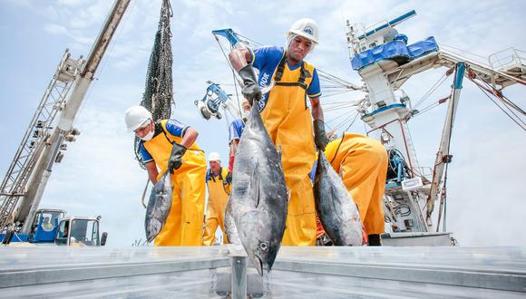 Los principales retos para la pesca industrial de jurel y atún