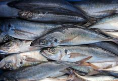 Perú respondió a Chile y sostiene que tiene derecho a aumentar cuota de pesca de jurel 
