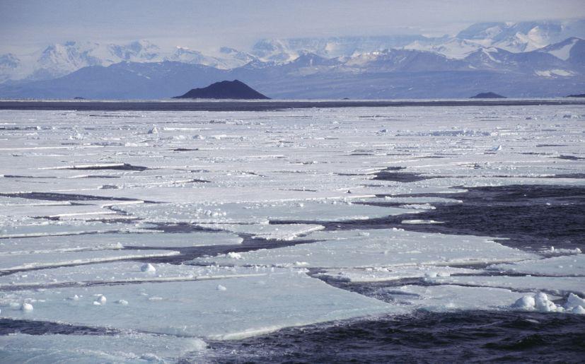 (Foto: Getty Images)