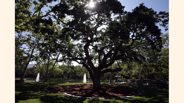Como se puede imaginar, los jardines son amplios y muy bien cuidado. Aquí está uno de los lagos, con fuentes en el centro. (Foto: businessinsider)