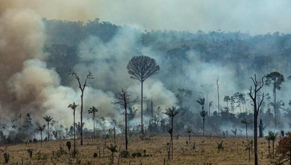 Foto publicada por Greenpeace muestra humo saliendo del Bosque Nacional Jamanxim en el bioma amazónico en Estado de Pará en momentos que cientos de nuevos incendios se estaban desatando hace menos de una semana. (Foto: AFP)