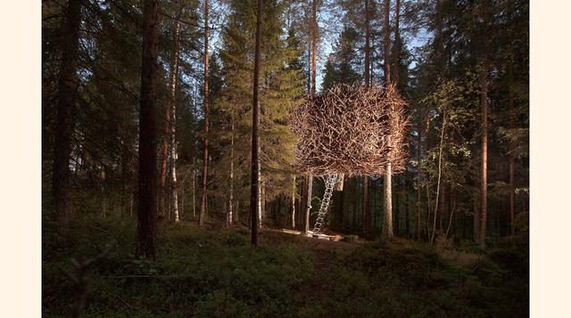Además de The 7th room, el Treehotel cuenta desde 2010 con otras seis casas en los árboles, que son sus habitaciones. Es un proyecto de diseño contemporáneo en medio del bosque. En esta foto, The Bird's Nest (El nido de pájaro), al que se sube con un