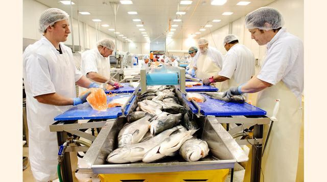 Es una sociedad rica entre otras cosas por su inteligente manejo del petróleo y usar esta renta para desarrollar otros sectores productivos como la pesca. (Foto: getty)