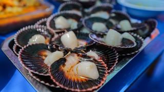 Conchas de abanico: Produce establecerá cuota de captura en Isla Lobos de Tierra