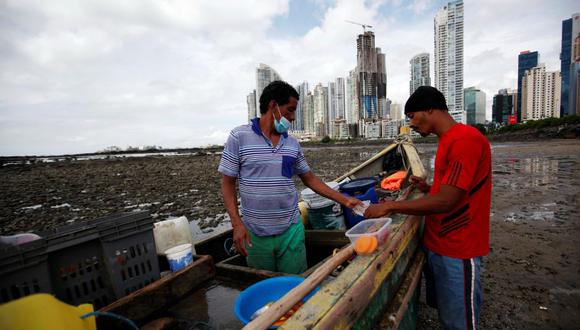 El 47.6% de personas económicamente activas se encuentran en la economía informal en Panamá, es decir, 677,875, según datos oficiales de octubre pasado. (EFE/ Bienvenido Velasco).