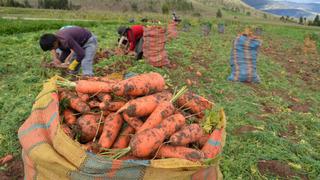 Midagri: nueva ley agraria debe ser punto de partida para profundizar un diálogo mayor