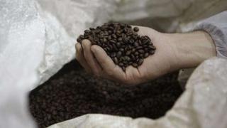 Pérdidas por bajos precios para el café ascendería a S/ 800 millones en cosecha 2016
