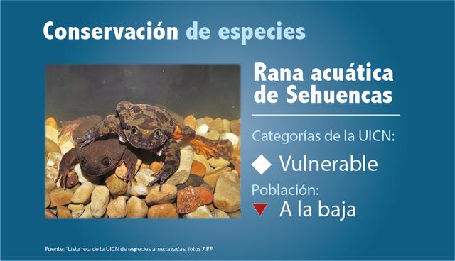 Conservación de especies