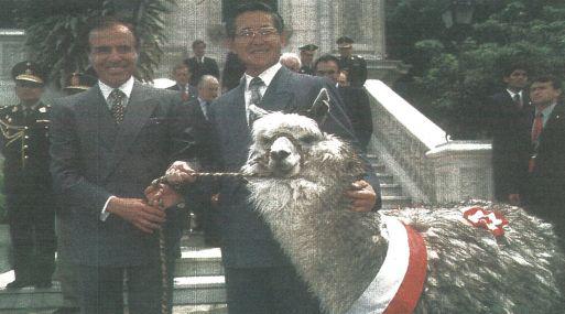 El presidente Fujimori obsequió dos alpacas a su homólogo argentino, Carlos Saúl Menem. Anoche fue condecorado en Palacio de Gobierno con la Orden El Sol del Perú.