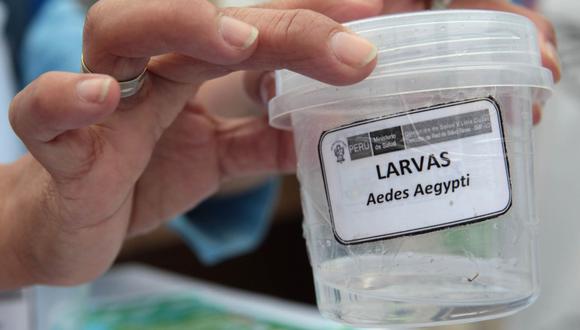 Hay siete casos autóctonos de dengue en Lima. (Foto: GEC)