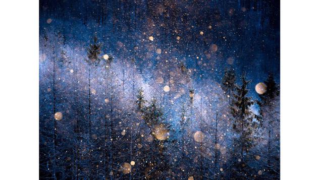 'Polvo de diamante' – Masayasu Sakuma (Japón), Abierto, Naturaleza.