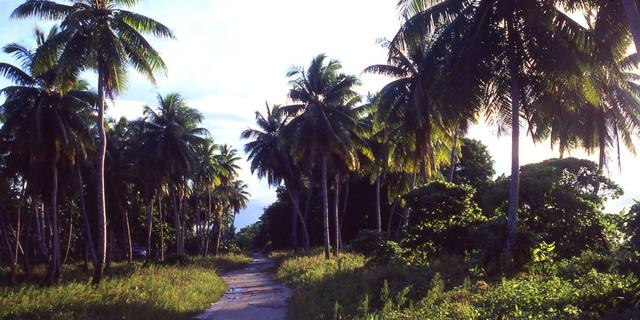 FOTO 10 |  Islas Marshall
Se encuentran en la región de Micronesia y tienen poco más de 53.000 habitantes, de los cuales ninguno ha sufrido hasta el momento contagio por coronavirus (Getty Creative).