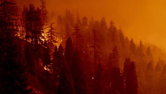 Los incendios comienzan cada año en junio/julio, con la estación seca, y duran hasta octubre. (Foto: AFP)