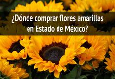 Si planeas regalar flores amarillas hoy, consulta dónde comprarlas en Estado de México (Edomex)