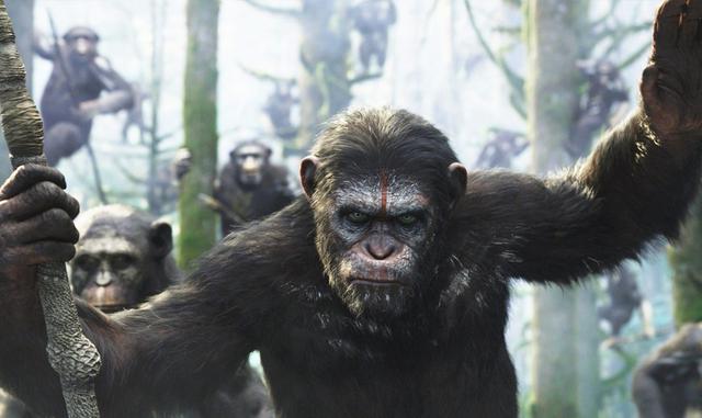 Foto 3 | El planeta de los simios es una franquicia más oscura, para público adulto. Como con Logan, en los últimos años la estrategia de las películas franquicia de Fox ha sido tratar de atraer a un público adulto, para diferenciar sus películas más oscuras del sello Marvel. Ese ha sido el caso, por ejemplo, de la trilogía de El planeta de los simios, que se convirtió en un entretenimiento adorado por la crítica. Quizás no sean taquillazos como en Disney, pero su sello sigue siendo reconocible.