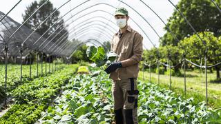 Grandes productores agrícolas prometen seguridad alimentaria pese a guerra en Ucrania